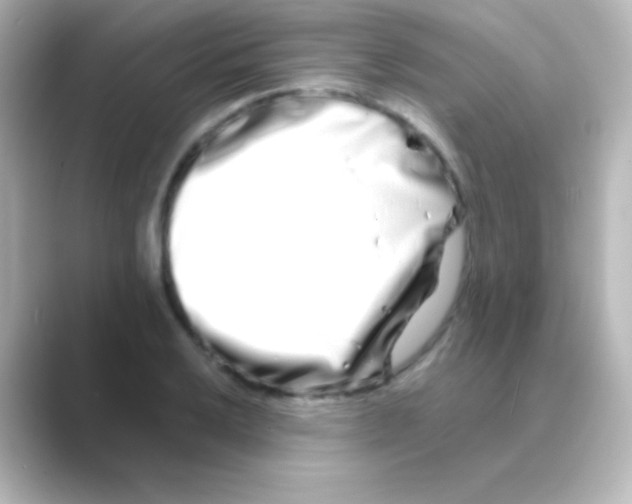 X0000088721032200706212017