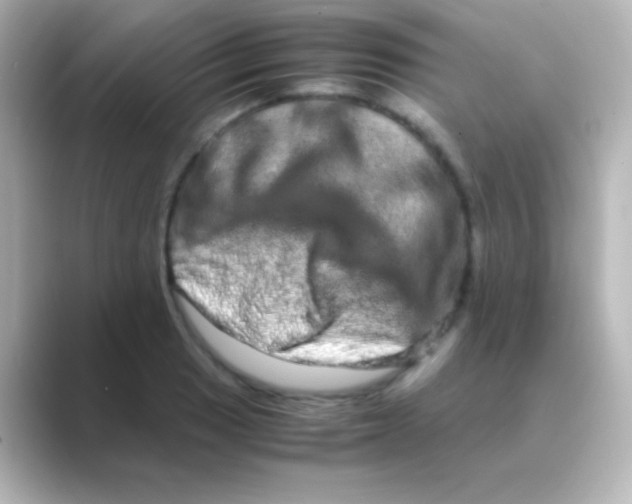 X0000088721033200706212017