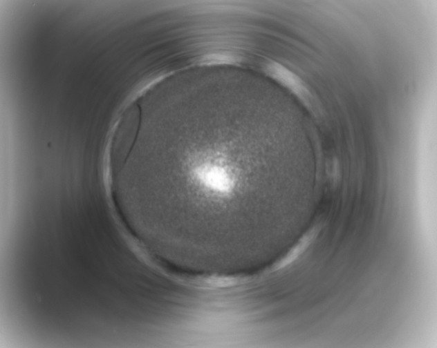 X0000088721034200706212017