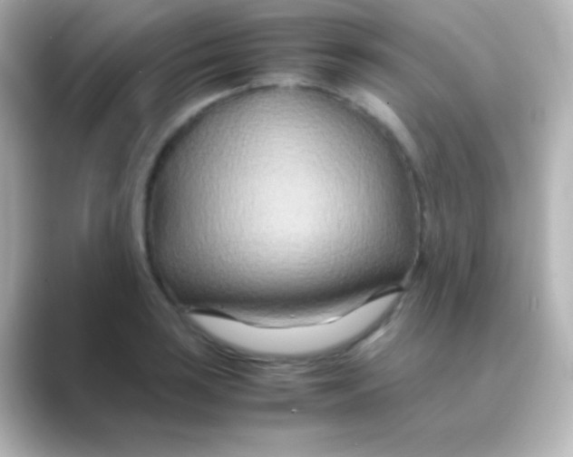 X0000088721035200706212017