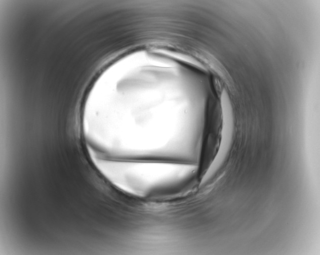 X0000088721036200706212017