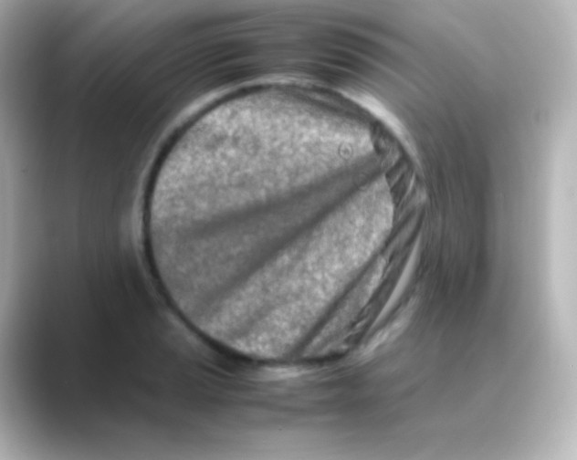 X0000088721037200706212017