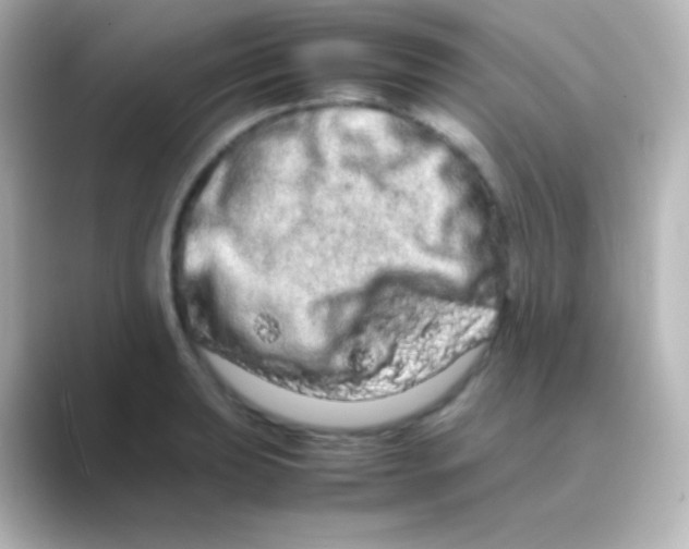 X0000088721039200706212017