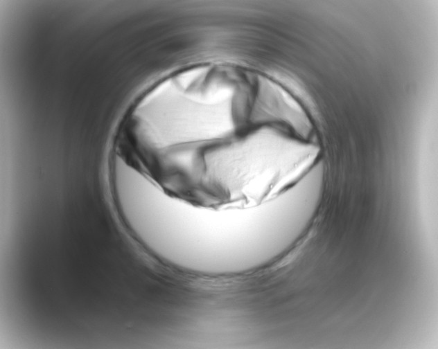 X0000088721040200706212017