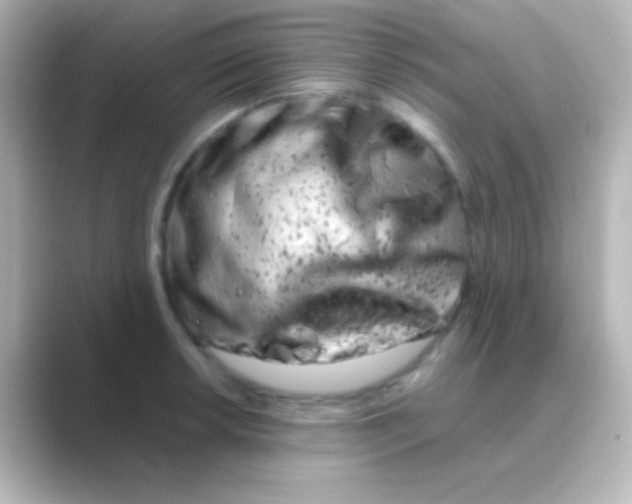 X0000088721042200706212017