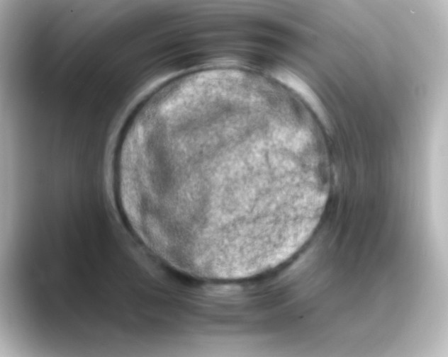 X0000088721043200706212017