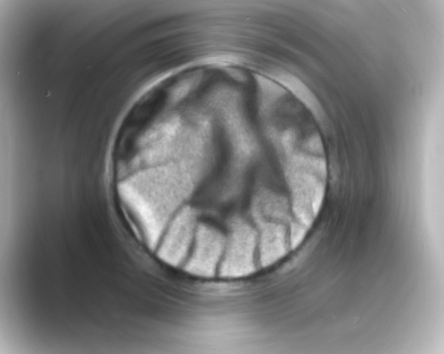 X0000088721044200706212017