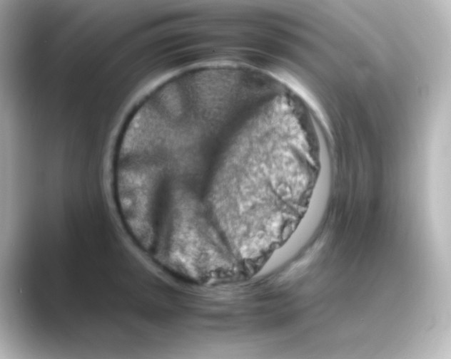 X0000088721045200706212017