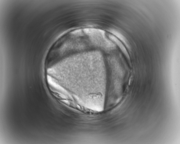 X0000088721047200706212017