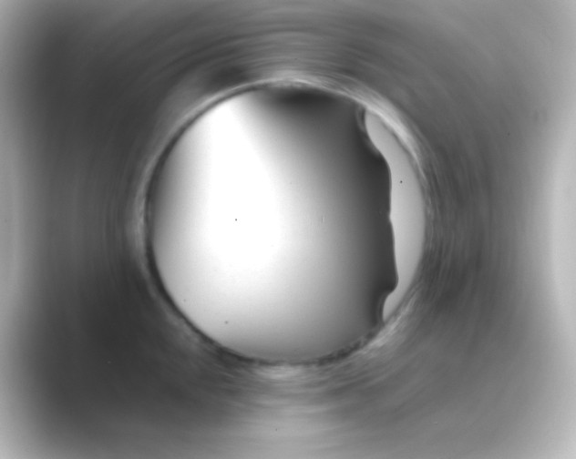 X0000088721048200706212017