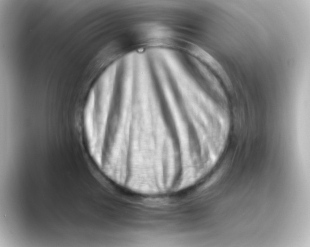 X0000088721049200706212017