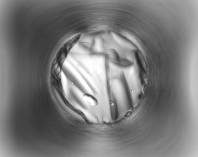 X0000088721050200706212017