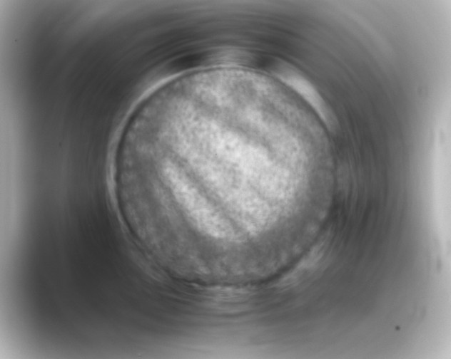 X0000088721051200706212017