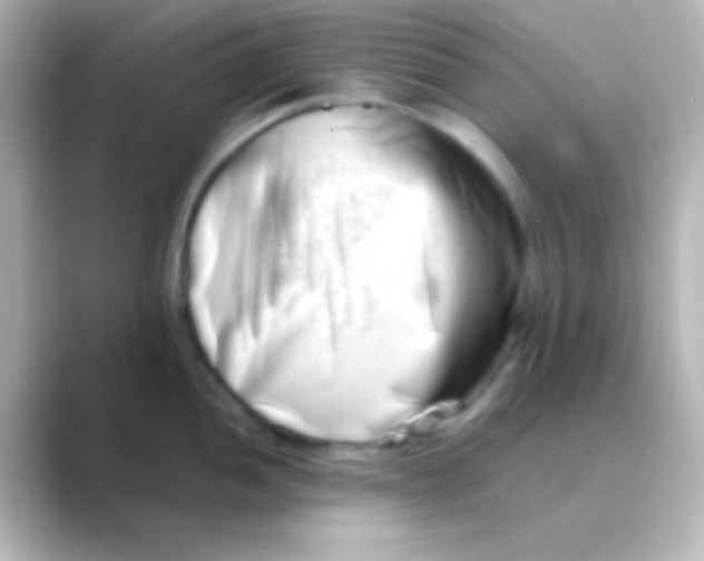 X0000088721052200706212017