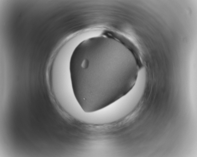 X0000088721054200706212017