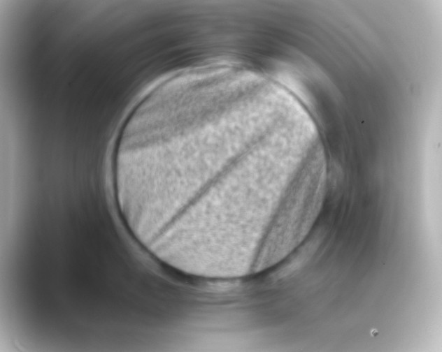 X0000088721055200706212017