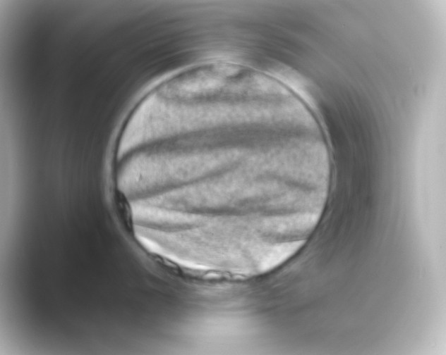 X0000088721056200706212017