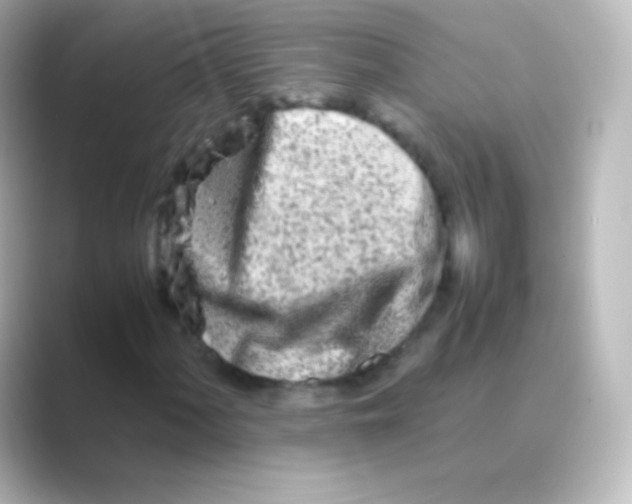 X0000088721060200706212016