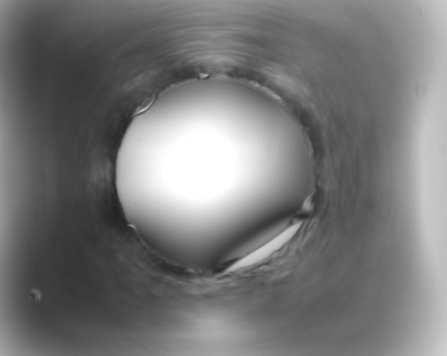 X0000088721061200706212016