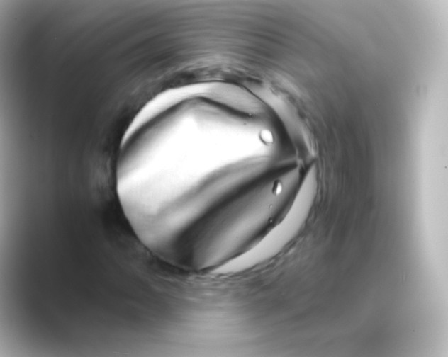 X0000088721062200706212016