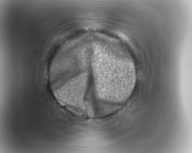 X0000088721063200706212016