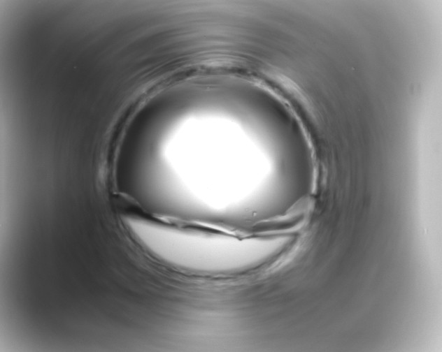 X0000088721065200706212016