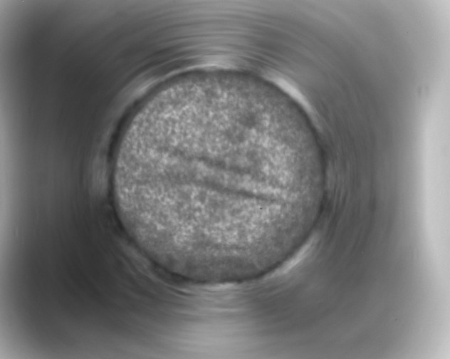 X0000088721067200706212016