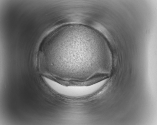 X0000088721069200706212016