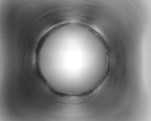 X0000088721070200706212016