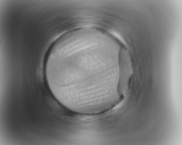 X0000088721071200706212016