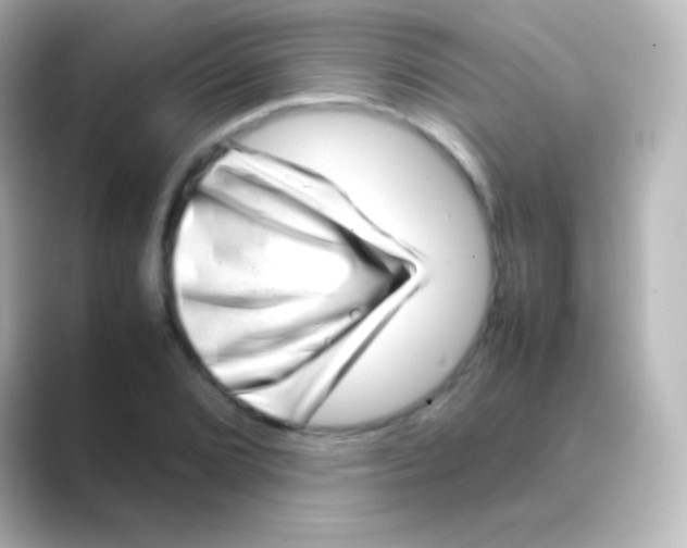 X0000088721072200706212016