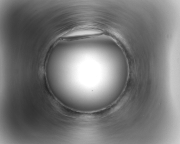 X0000088721073200706212016