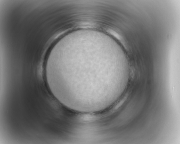 X0000088721074200706212016