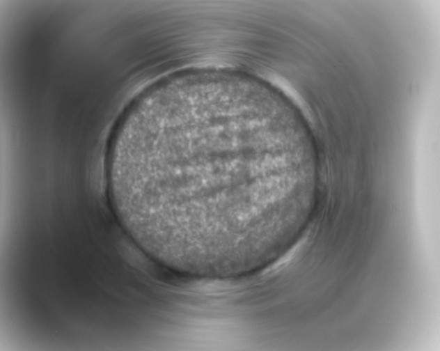 X0000088721075200706212016