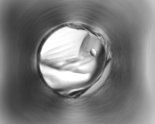 X0000088721076200706212016