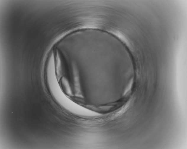 X0000088721077200706212016