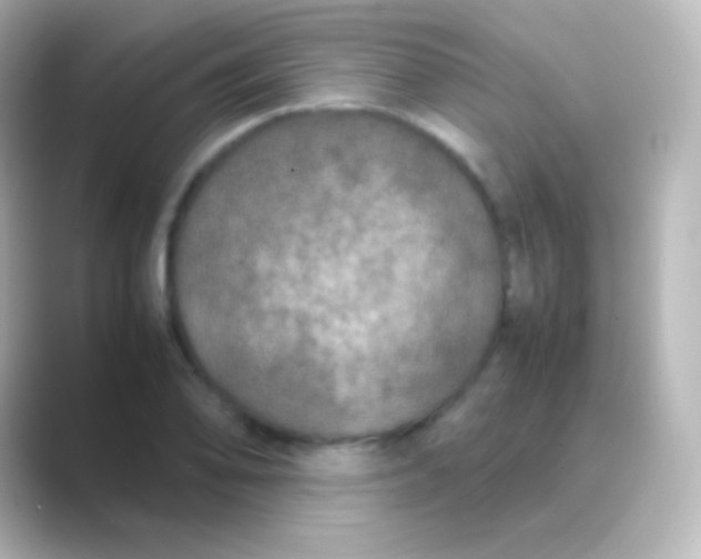 X0000088721078200706212016