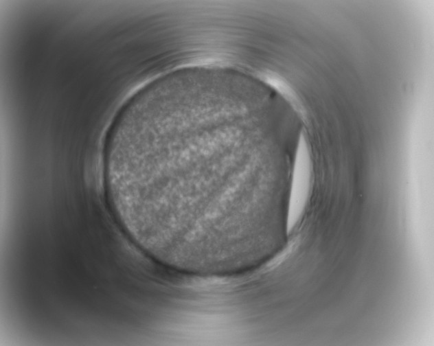 X0000088721079200706212016