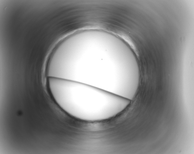 X0000088721080200706212016