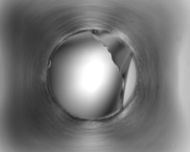 X0000088721081200706212016