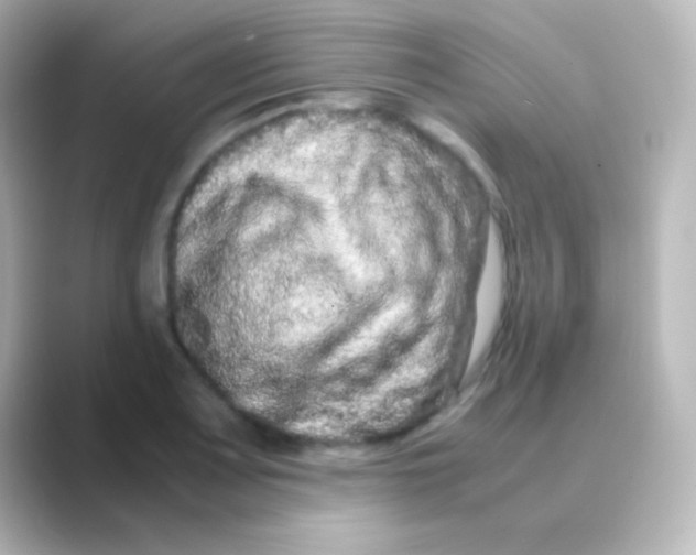 X0000088721083200706212016