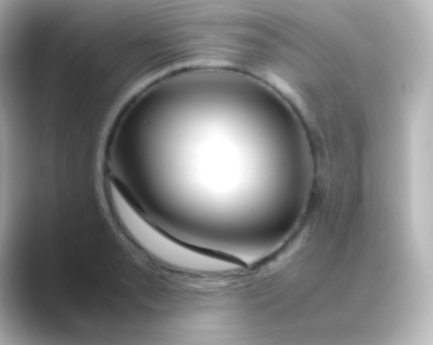 X0000088721085200706212016