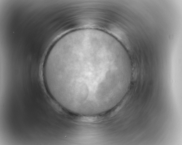 X0000088721086200706212016