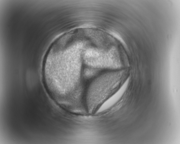 X0000088721087200706212016