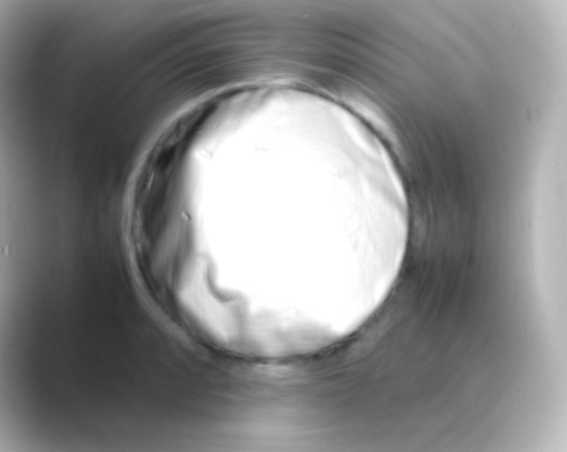 X0000088721088200706212016