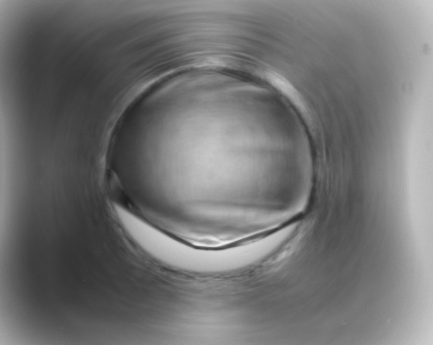 X0000088721089200706212016