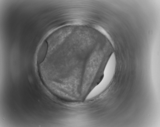 X0000088721091200706212016