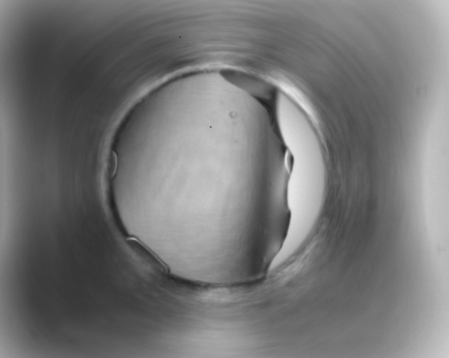 X0000088721093200706212016