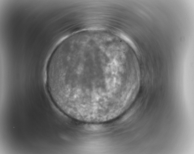 X0000088721095200706212016