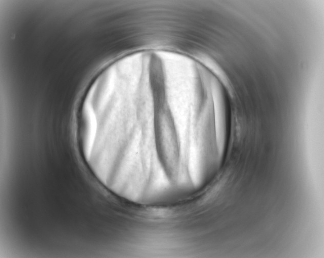 X0000088721096200706212016